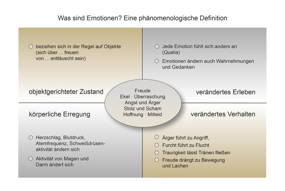 Kontrollieren Sie Ihre Emotionen oder kontrollieren sie Sie? Emotionsregulation im Sport - Heimsoeth Academy