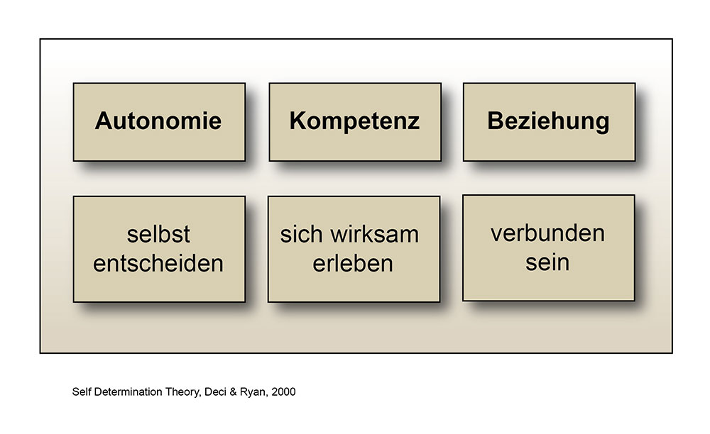 Self-Determination Theory (Selbstbestimmungstheorie SDT)